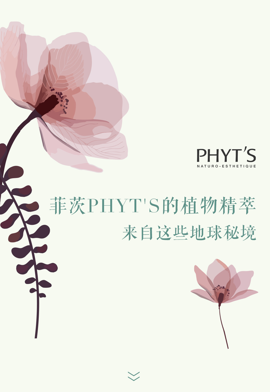 寻千赢官网qy18vip（中国）能源有限公司PHYT'S有机植萃的原生秘境_01.jpg